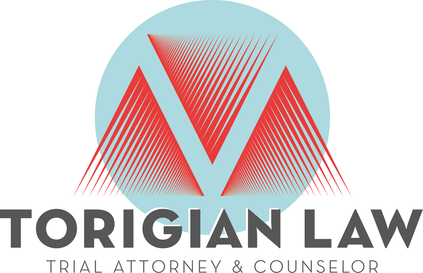 TORIGIAN logo 190304 (1)